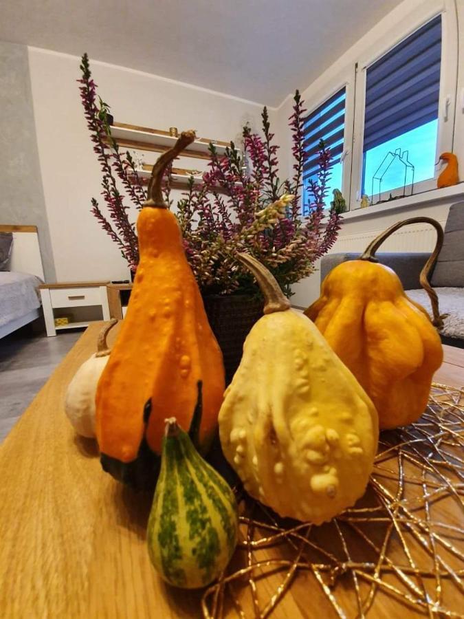 Apartament 27 Плоцк Екстериор снимка